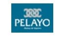 Pelayo Pelayo